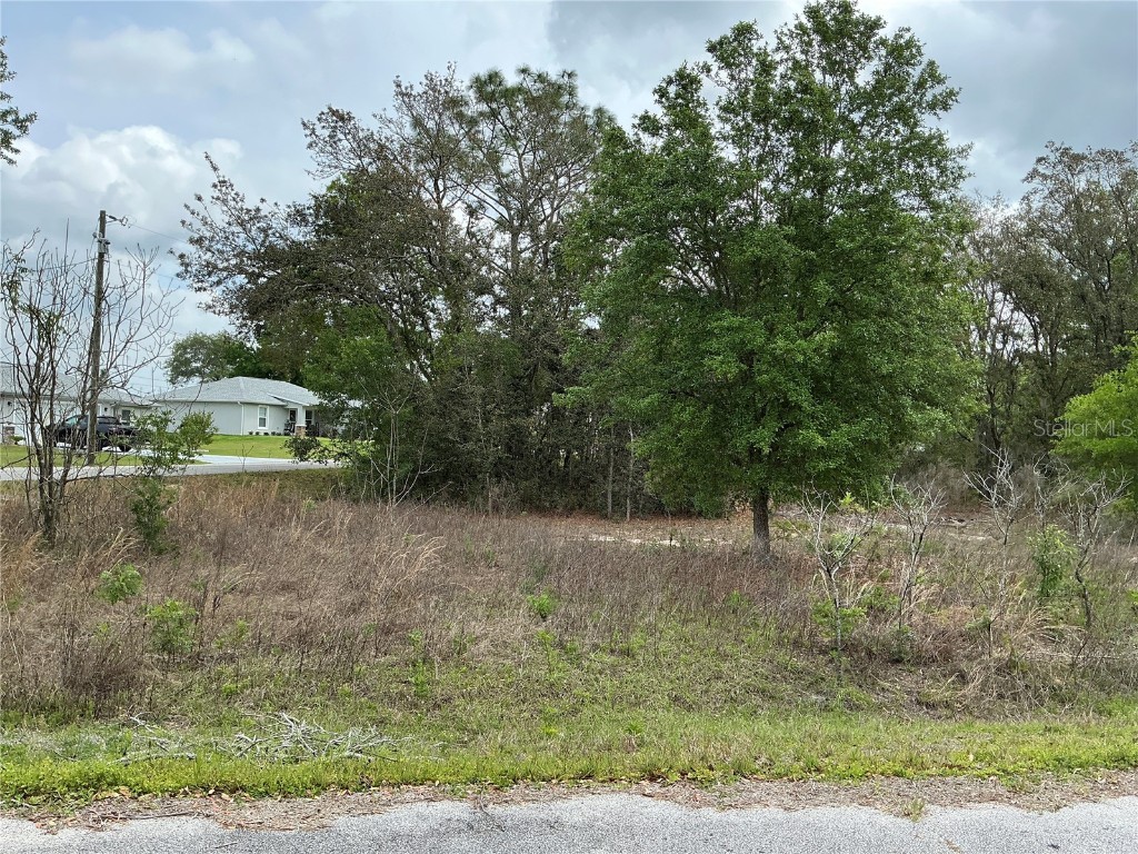 SE 152nd Lane Summerfield FL 34491 OM703494 image1