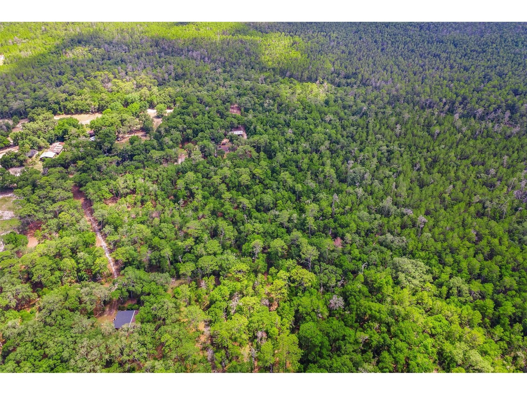 SE 152nd - Lot 17 (Ravenswood Rd) Parcel C Place Altoona FL 32702 G5112776 image12