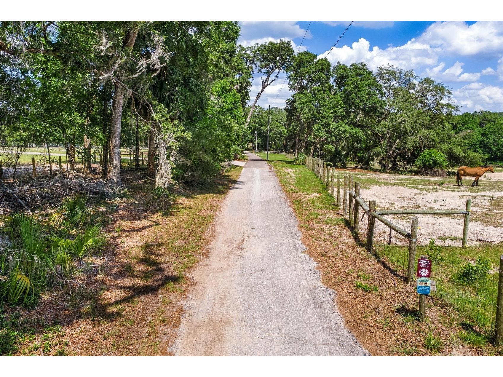 SE 152nd - Lot 17 (Ravenswood Rd) Parcel C Place Altoona FL 32702 G5112776 image19