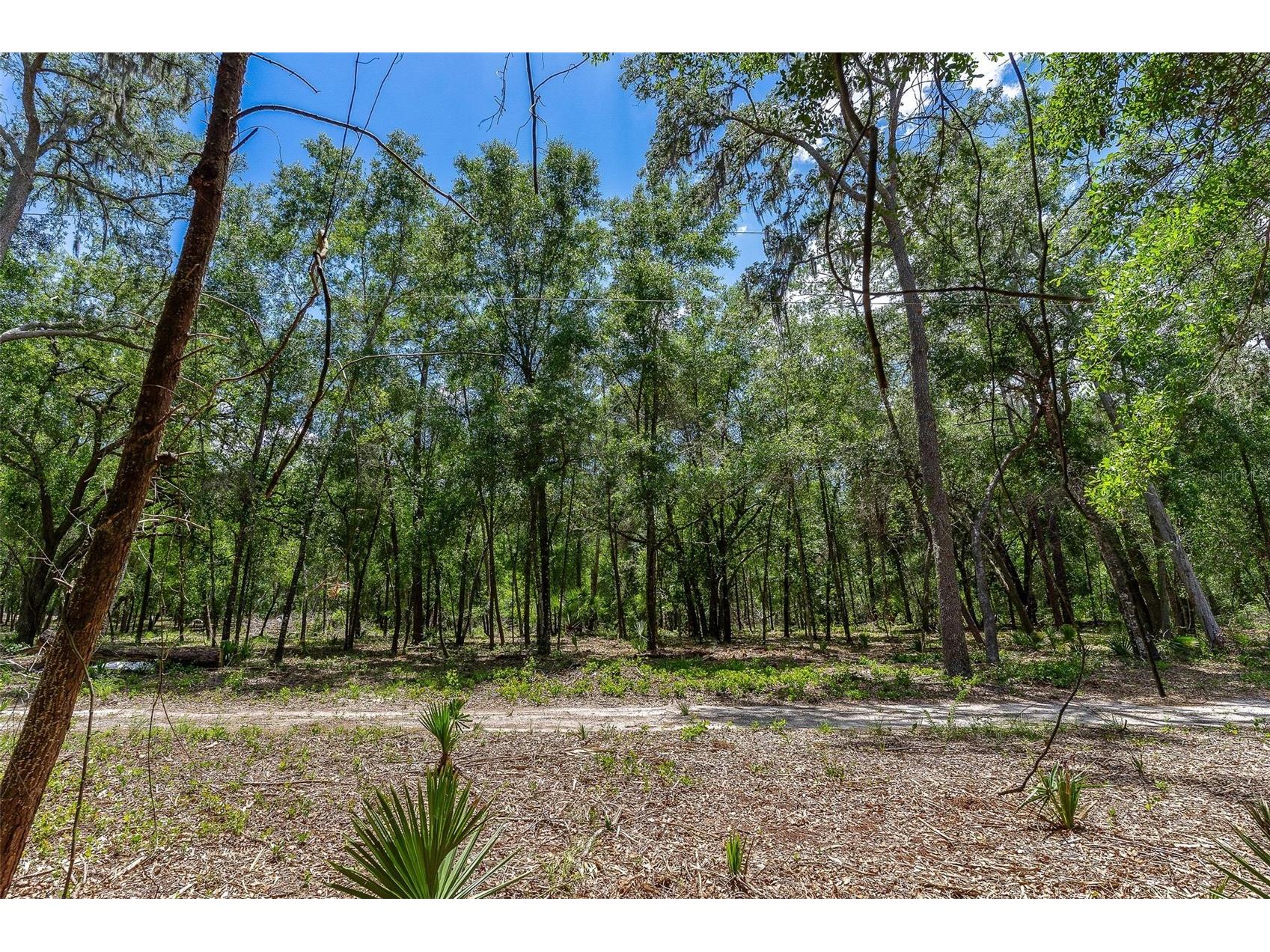 SE 152nd - Lot 17 (Ravenswood Rd) Parcel C Place Altoona FL 32702 G5112776 image22
