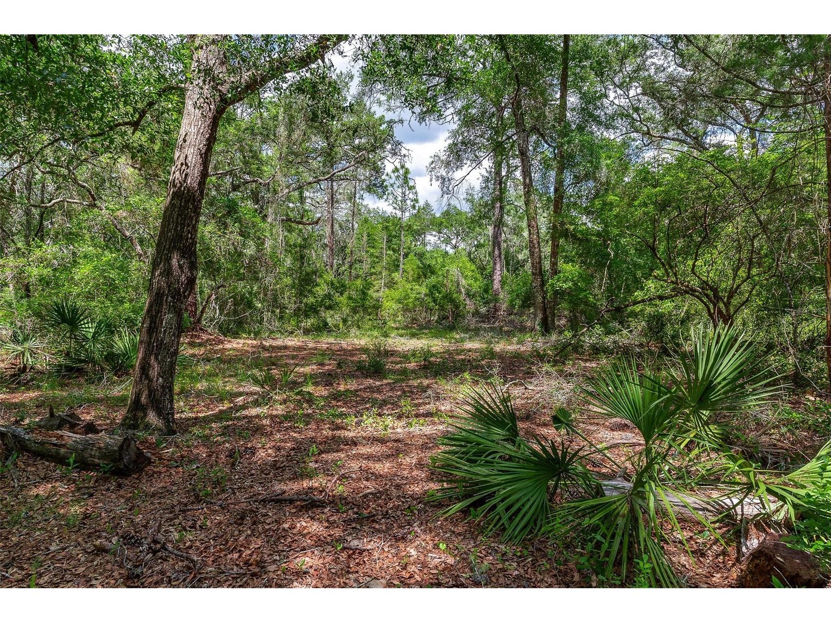 SE 152nd - Lot 17 (Ravenswood Rd) Parcel C Place Altoona FL 32702 G5112776 image23