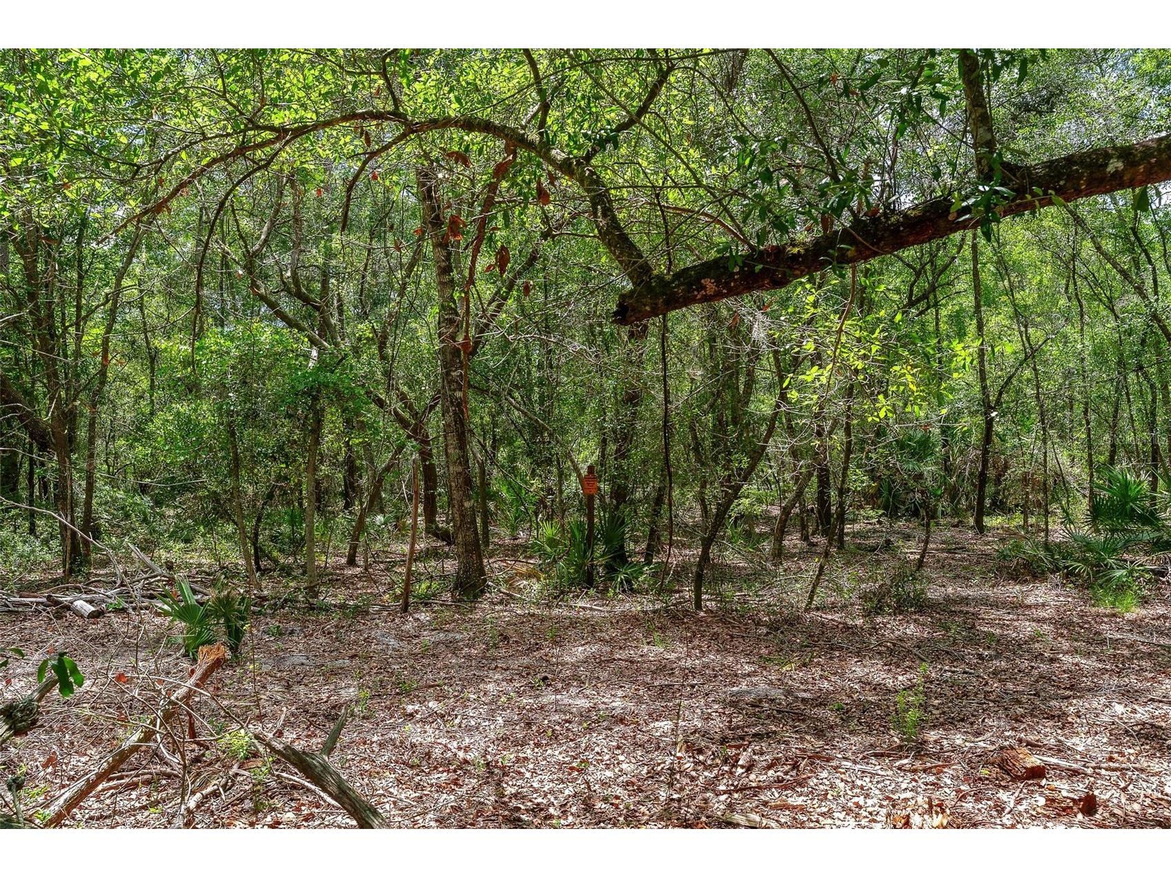 SE 152nd - Lot 17 (Ravenswood Rd) Parcel C Place Altoona FL 32702 G5112776 image24