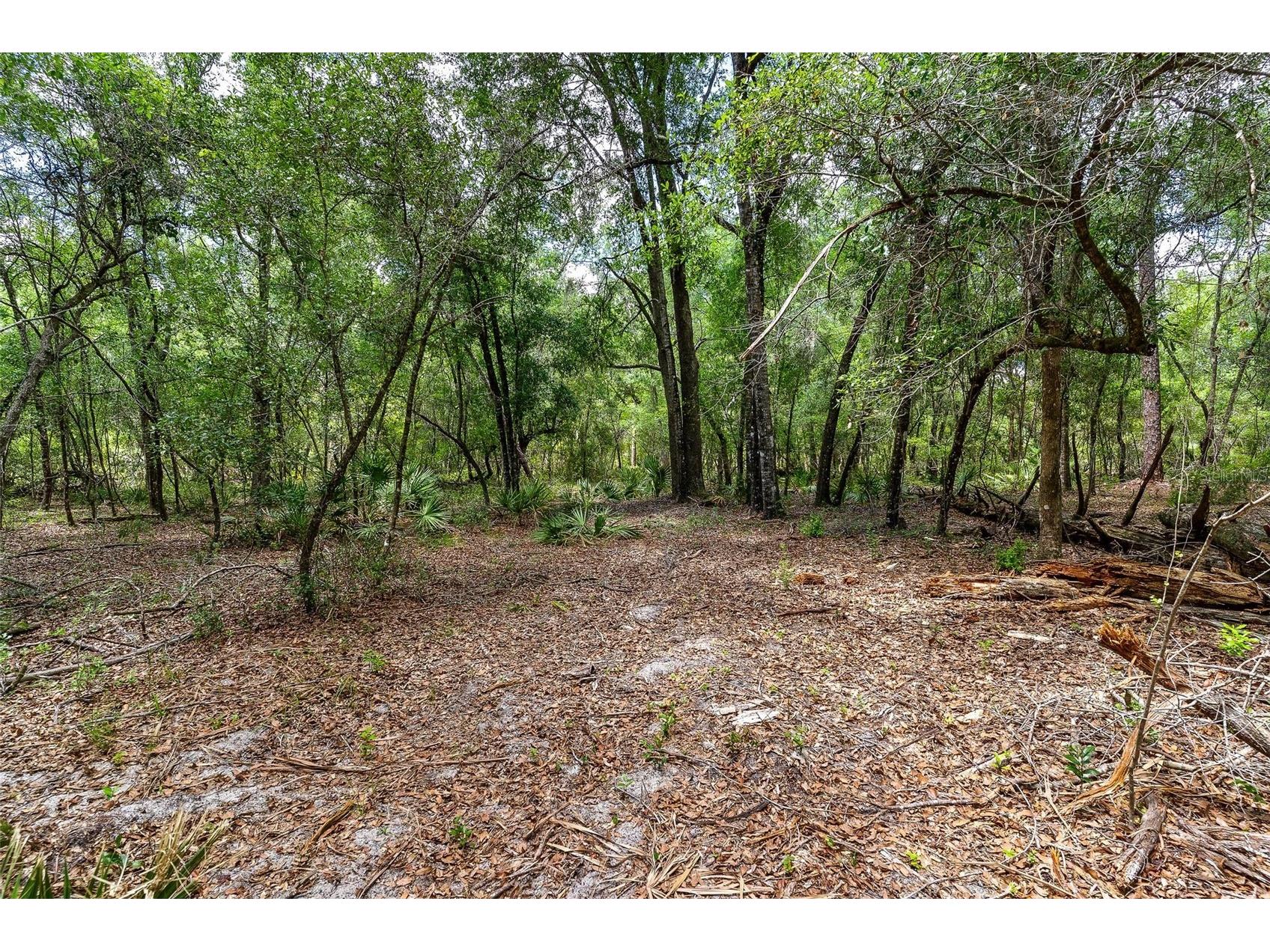 SE 152nd - Lot 17 (Ravenswood Rd) Parcel C Place Altoona FL 32702 G5112776 image25
