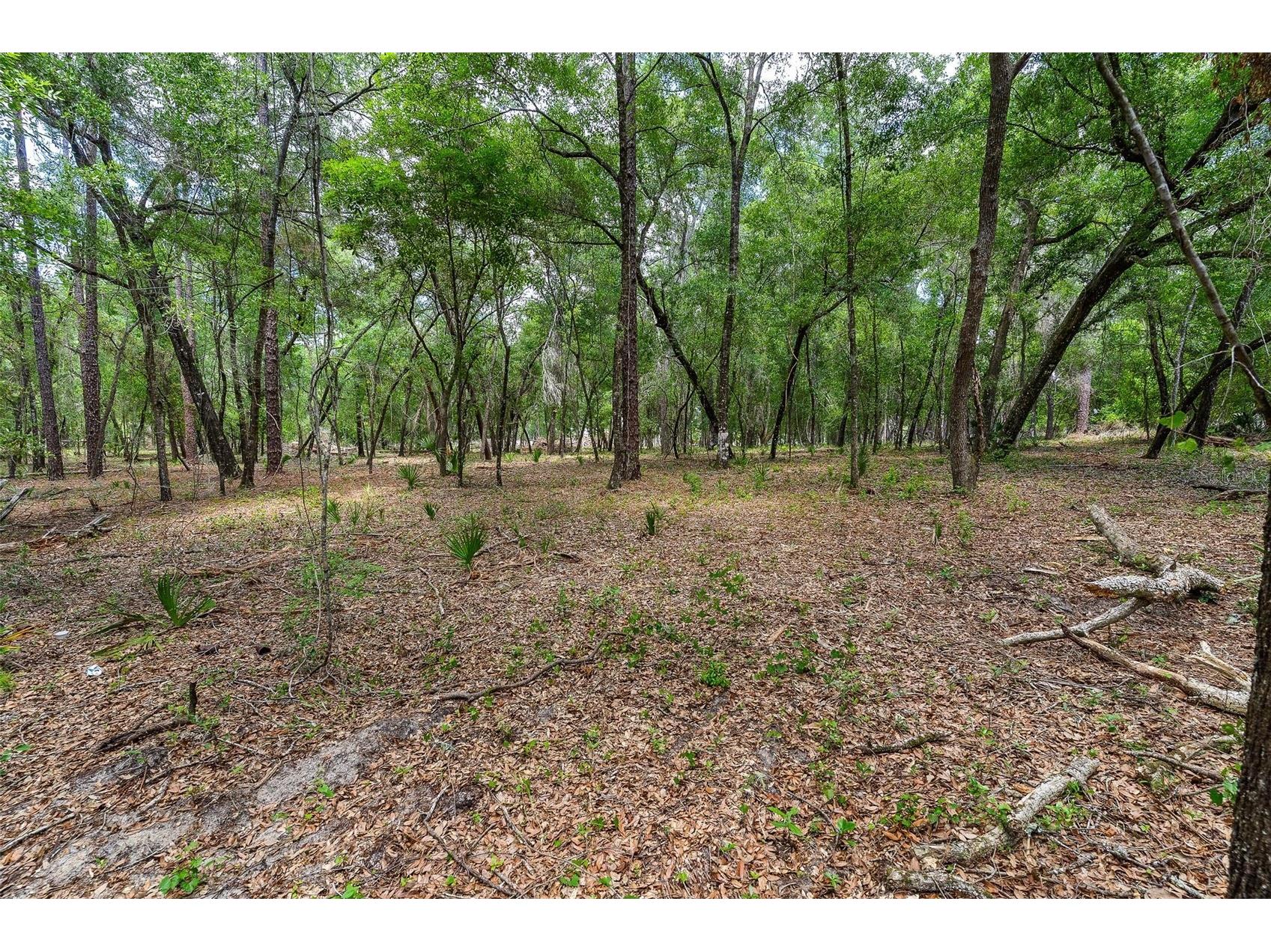 SE 152nd - Lot 17 (Ravenswood Rd) Parcel C Place Altoona FL 32702 G5112776 image26