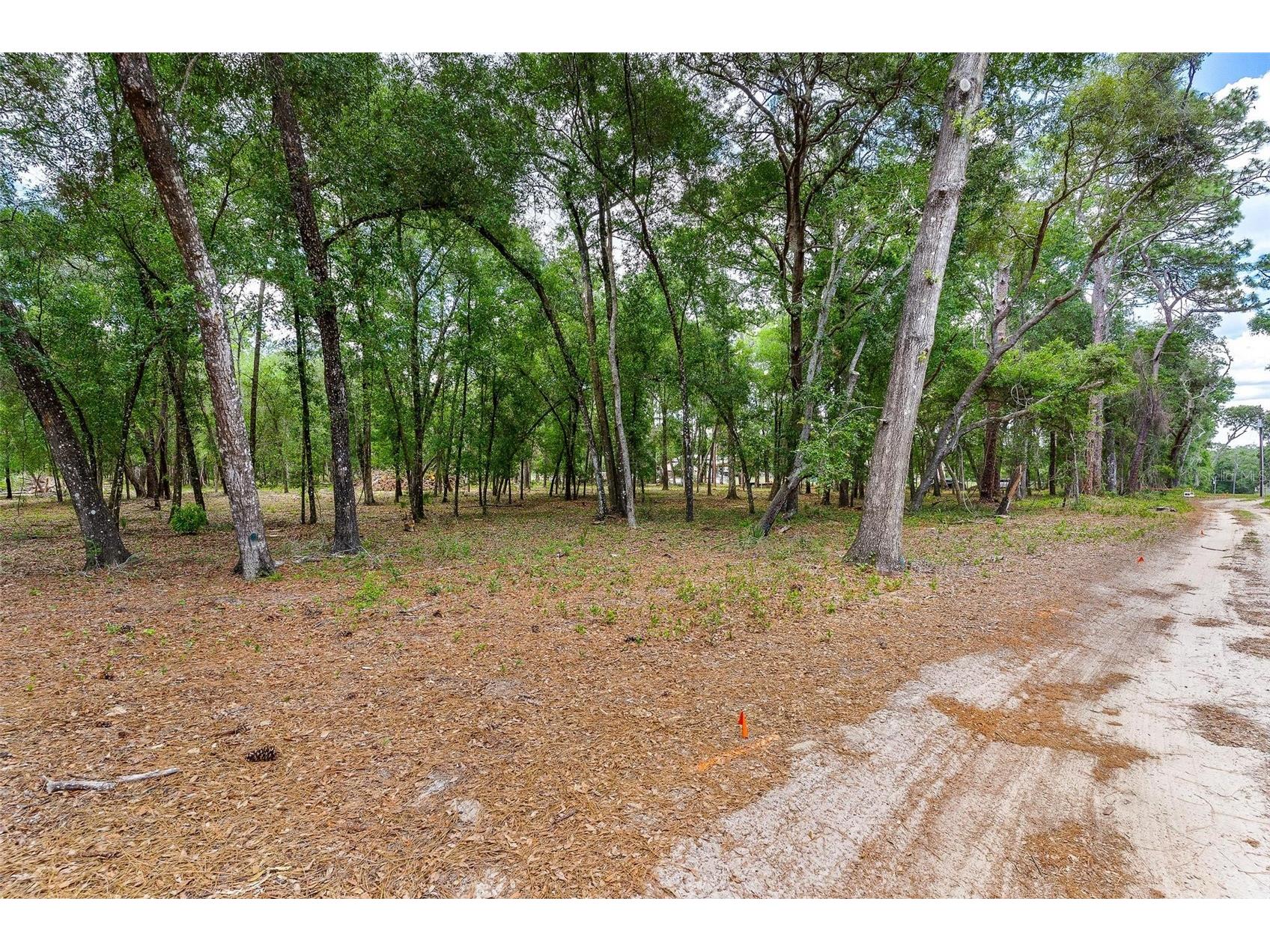 SE 152nd - Lot 17 (Ravenswood Rd) Parcel C Place Altoona FL 32702 G5112776 image27