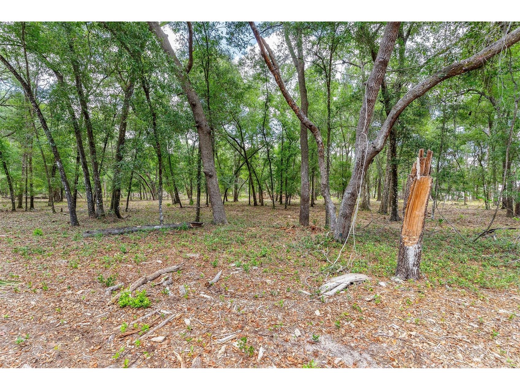 SE 152nd - Lot 17 (Ravenswood Rd) Parcel C Place Altoona FL 32702 G5112776 image28