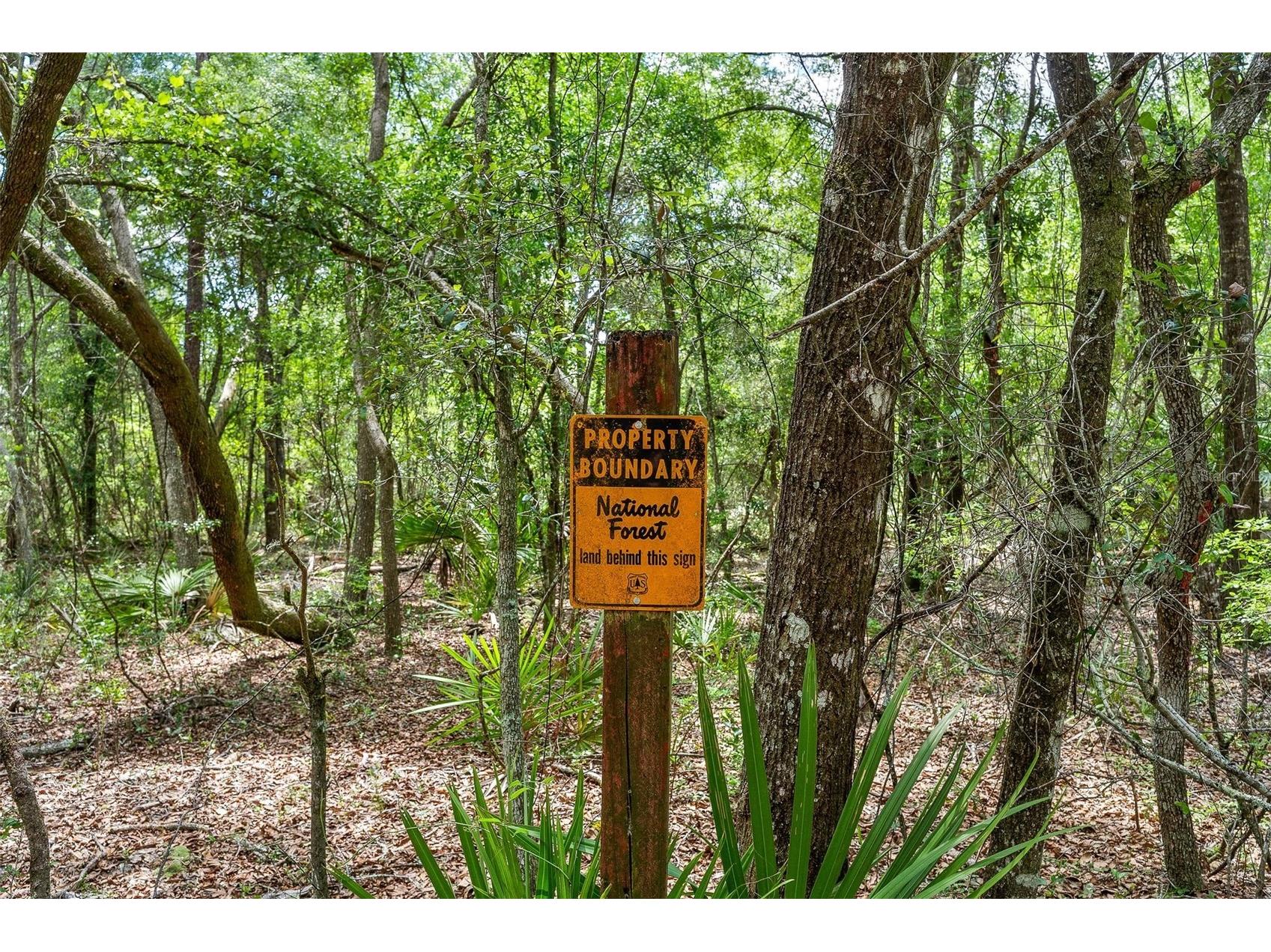 SE 152nd - Lot 17 (Ravenswood Rd) Parcel C Place Altoona FL 32702 G5112776 image7