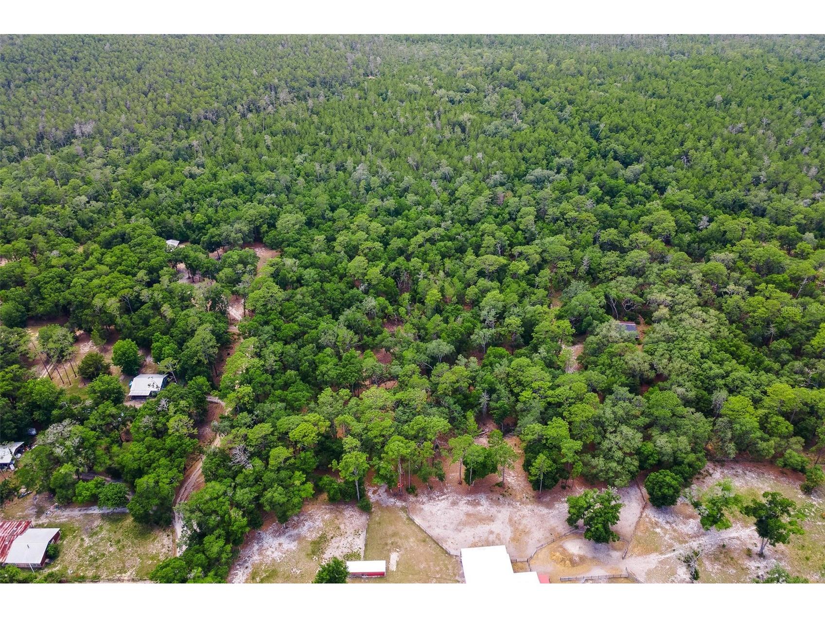 SE 152nd - Lot 17 (Ravenswood Rd) Parcel C Place Altoona FL 32702 G5112776 image8