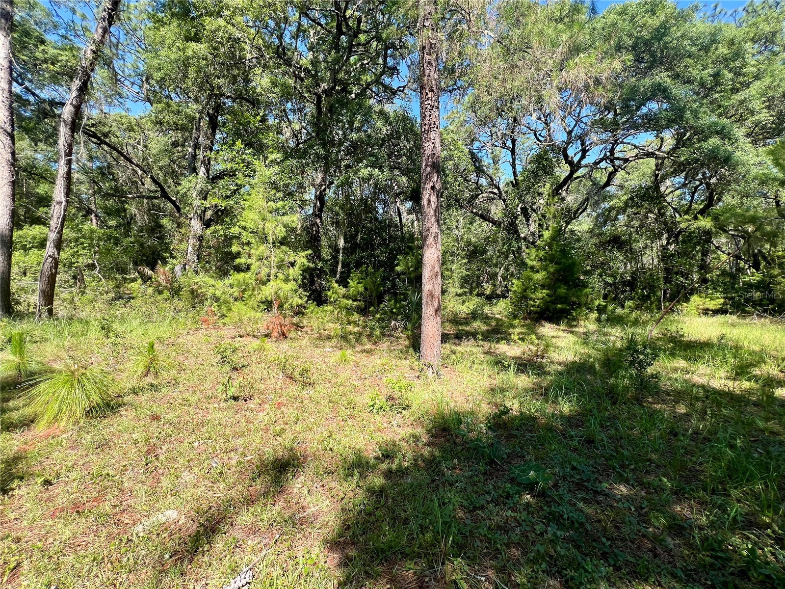 SE 152nd - (Ravenswood Rd) Parcel B & C Lots 16 17 Place Altoona FL 32702 G5112994 image11