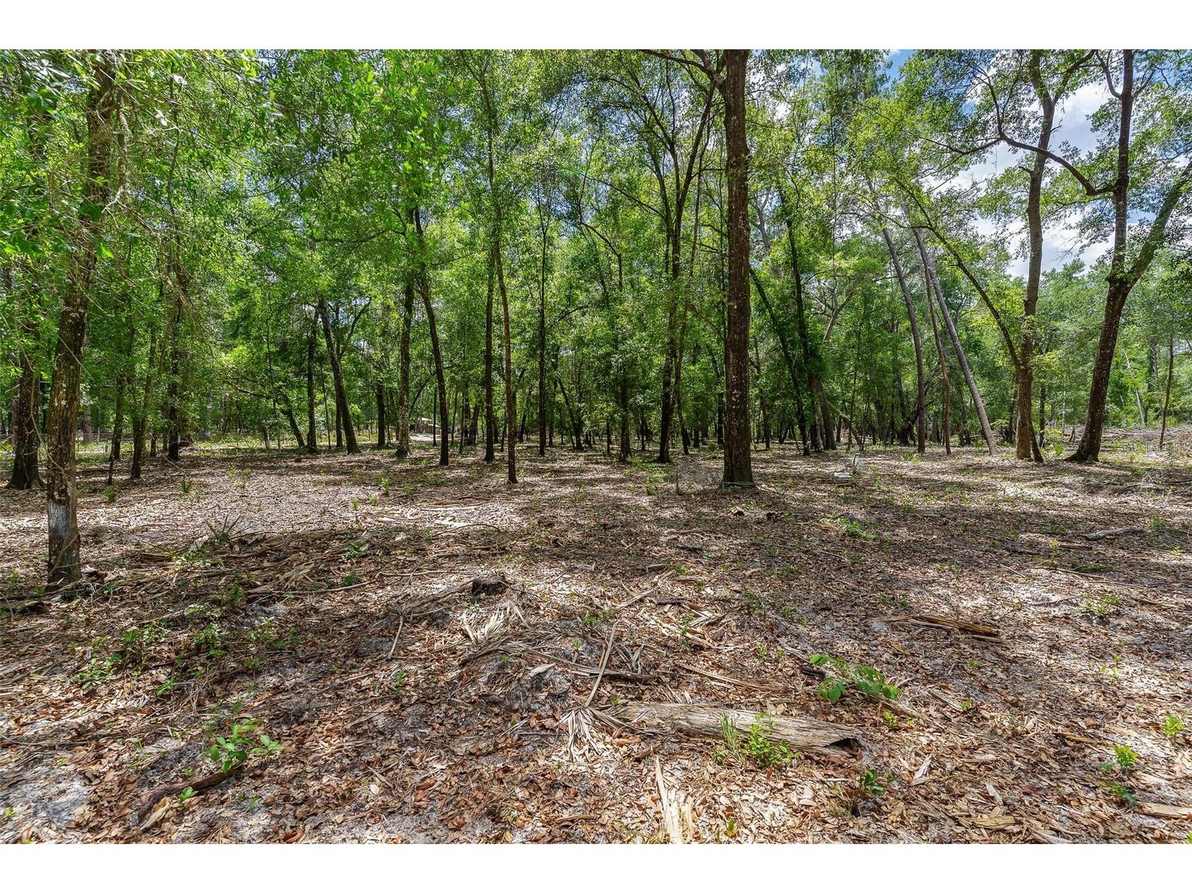 SE 152nd - (Ravenswood Rd) Parcel B & C Lots 16 17 Place Altoona FL 32702 G5112994 image12