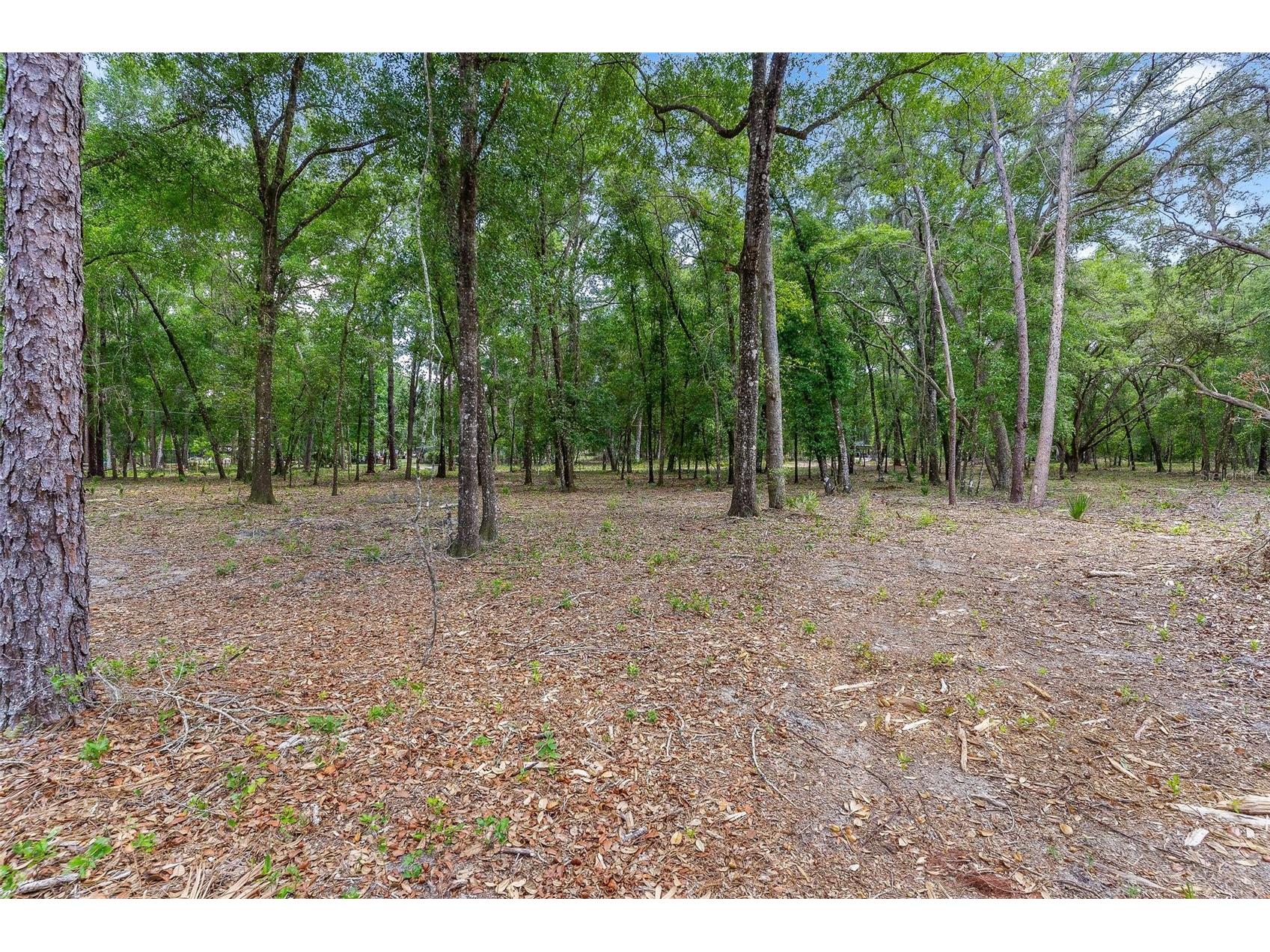 SE 152nd - (Ravenswood Rd) Parcel B & C Lots 16 17 Place Altoona FL 32702 G5112994 image15