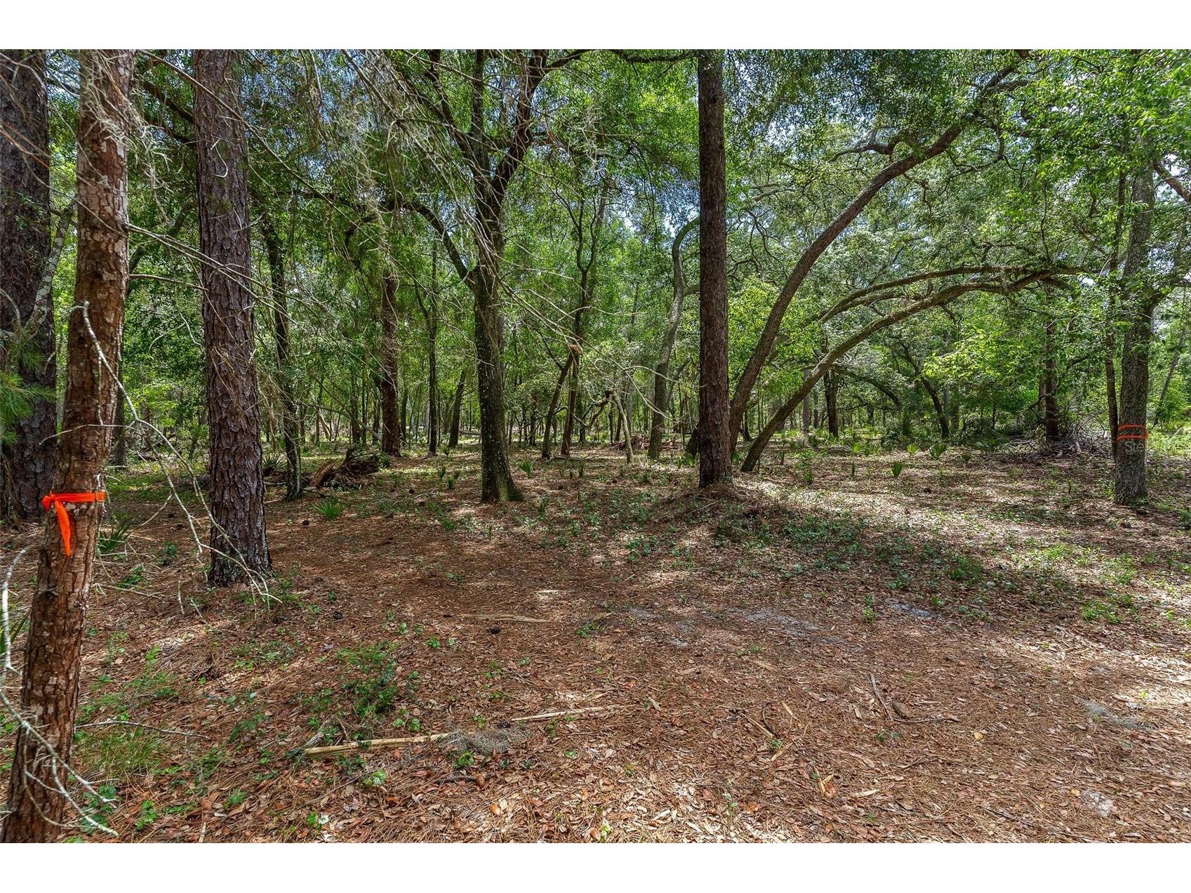 SE 152nd - (Ravenswood Rd) Parcel B & C Lots 16 17 Place Altoona FL 32702 G5112994 image17