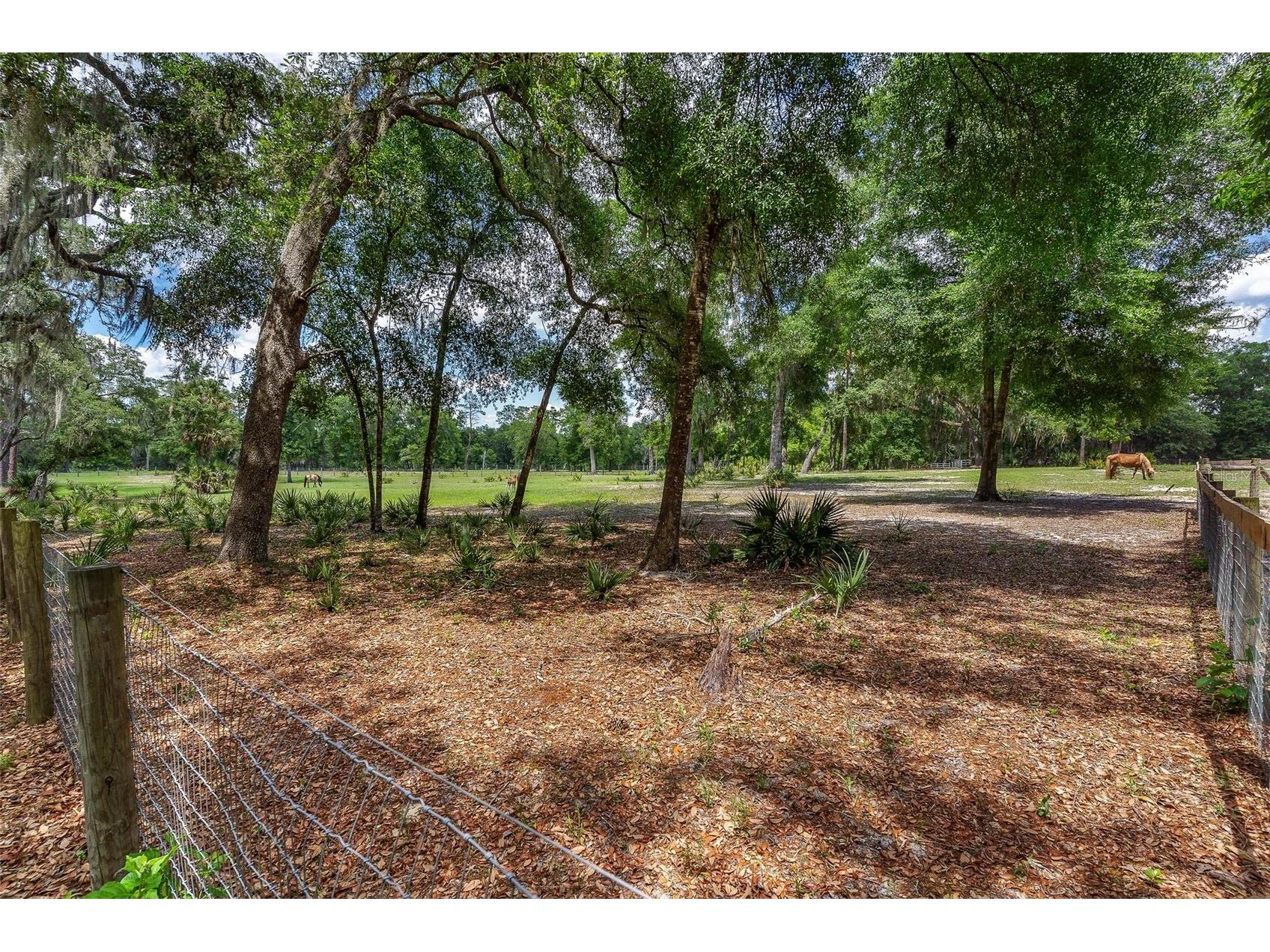 SE 152nd - (Ravenswood Rd) Parcel B & C Lots 16 17 Place Altoona FL 32702 G5112994 image18
