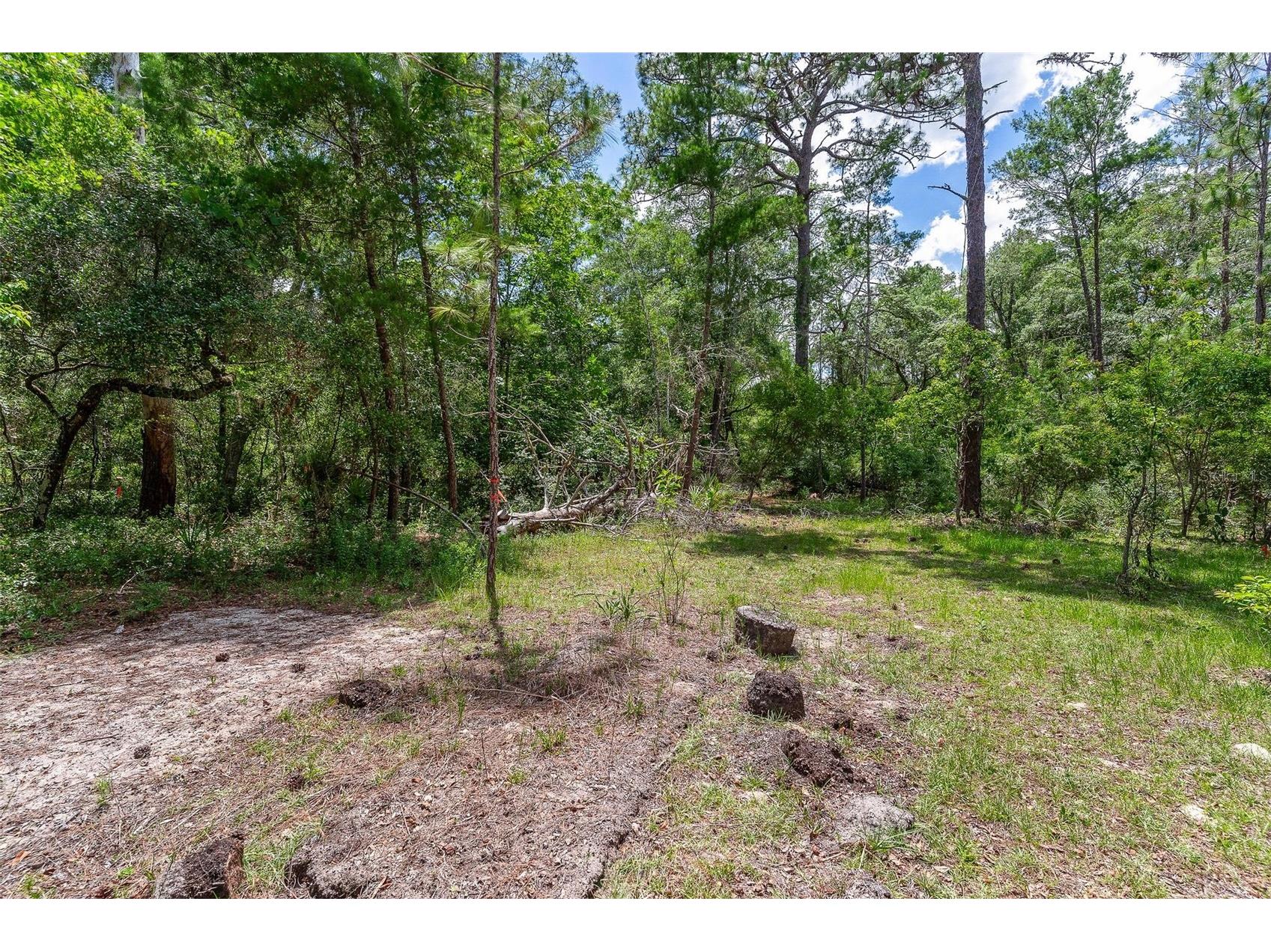 SE 152nd - (Ravenswood Rd) Parcel B & C Lots 16 17 Place Altoona FL 32702 G5112994 image19