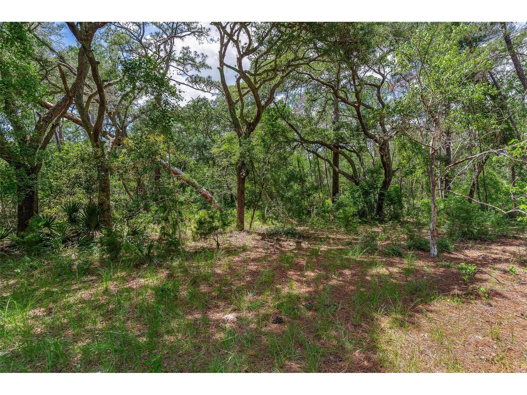 SE 152nd - (Ravenswood Rd) Parcel B & C Lots 16 17 Place Altoona FL 32702 G5112994 image21
