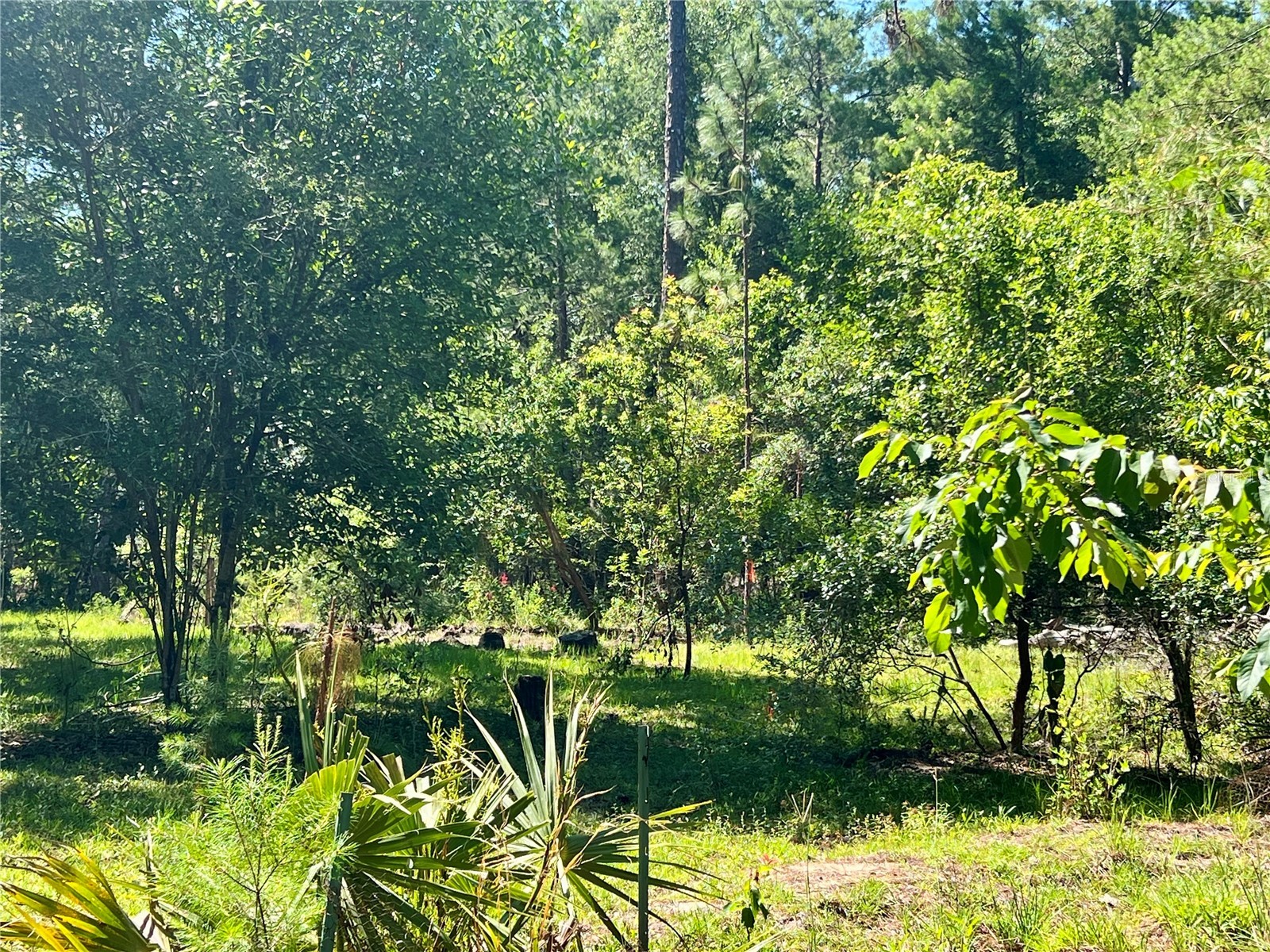 SE 152nd - (Ravenswood Rd) Parcel B & C Lots 16 17 Place Altoona FL 32702 G5112994 image22