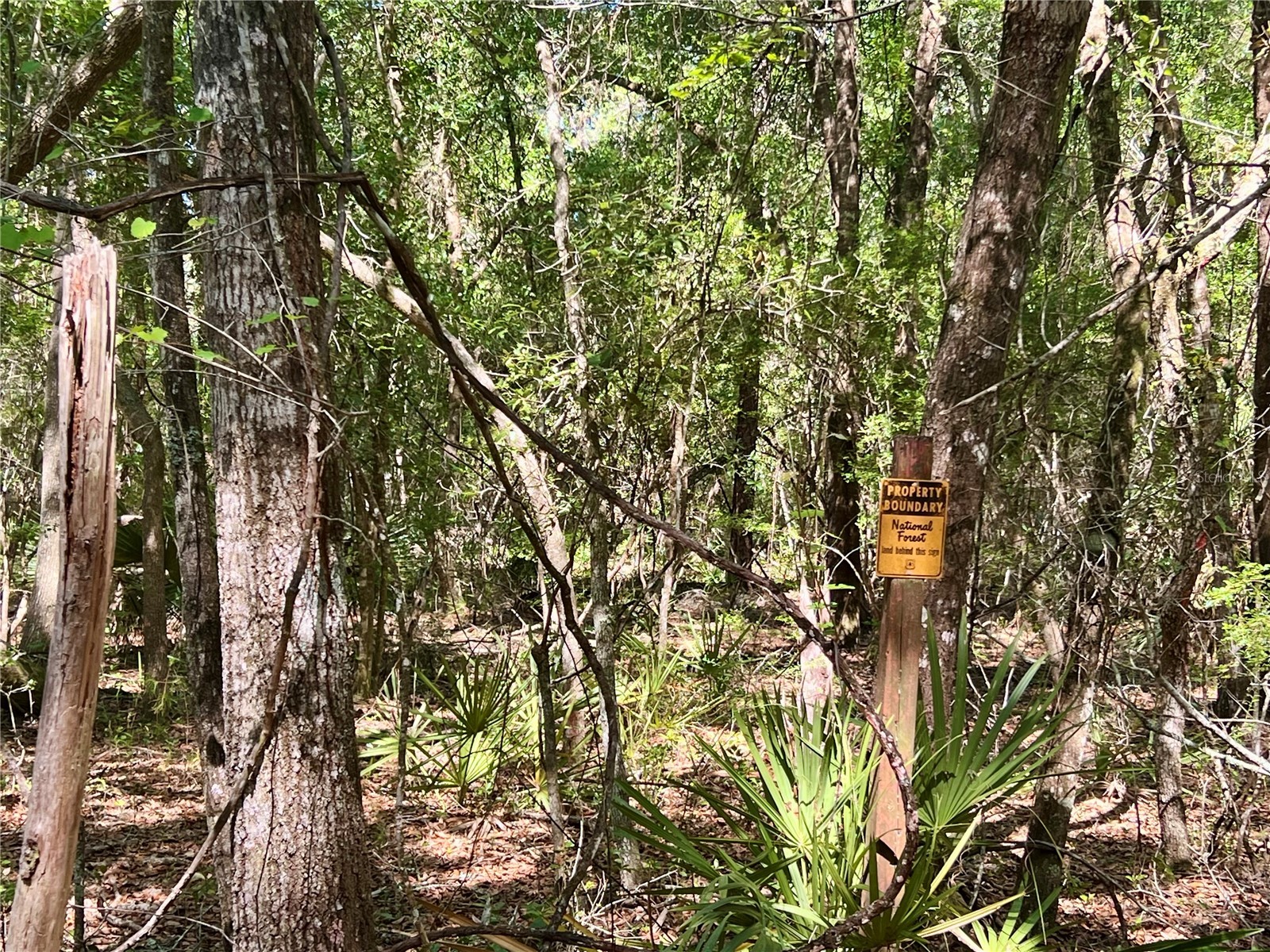 SE 152nd - (Ravenswood Rd) Parcel B & C Lots 16 17 Place Altoona FL 32702 G5112994 image24