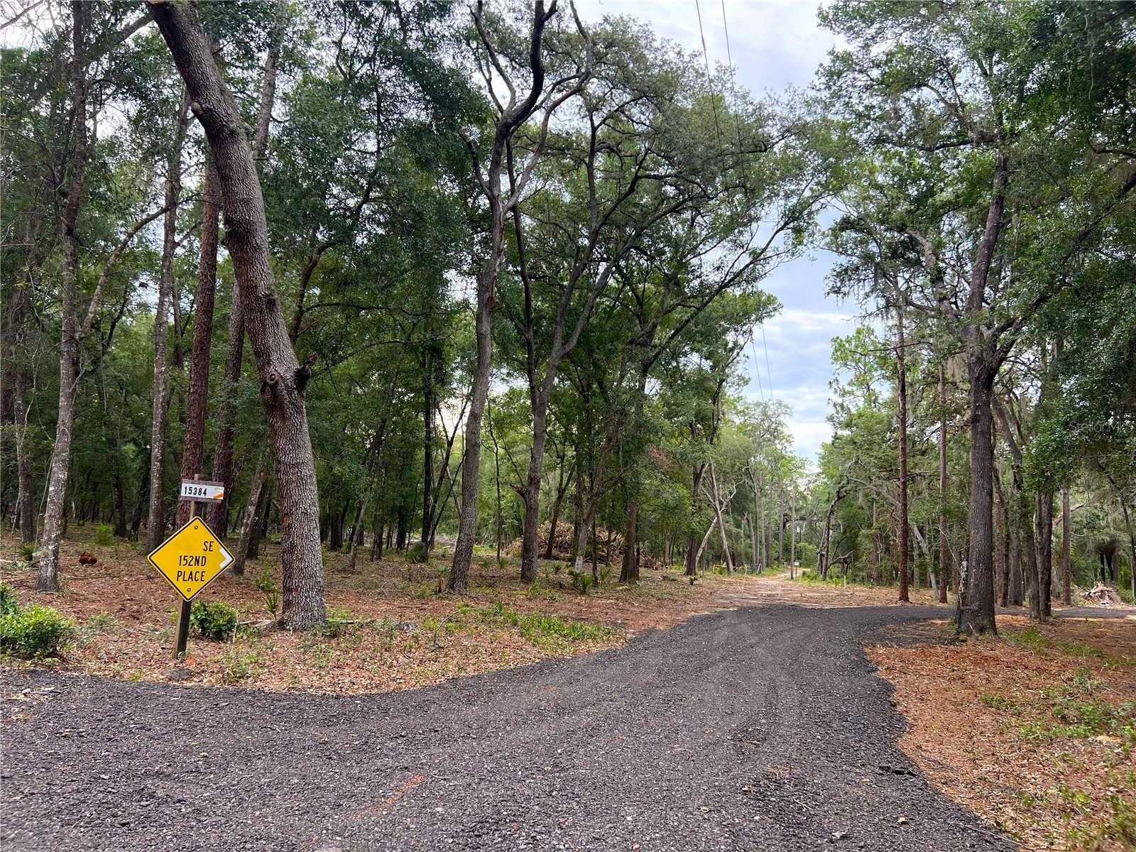 SE 152nd - (Ravenswood Rd) Parcel B & C Lots 16 17 Place Altoona FL 32702 G5112994 image29