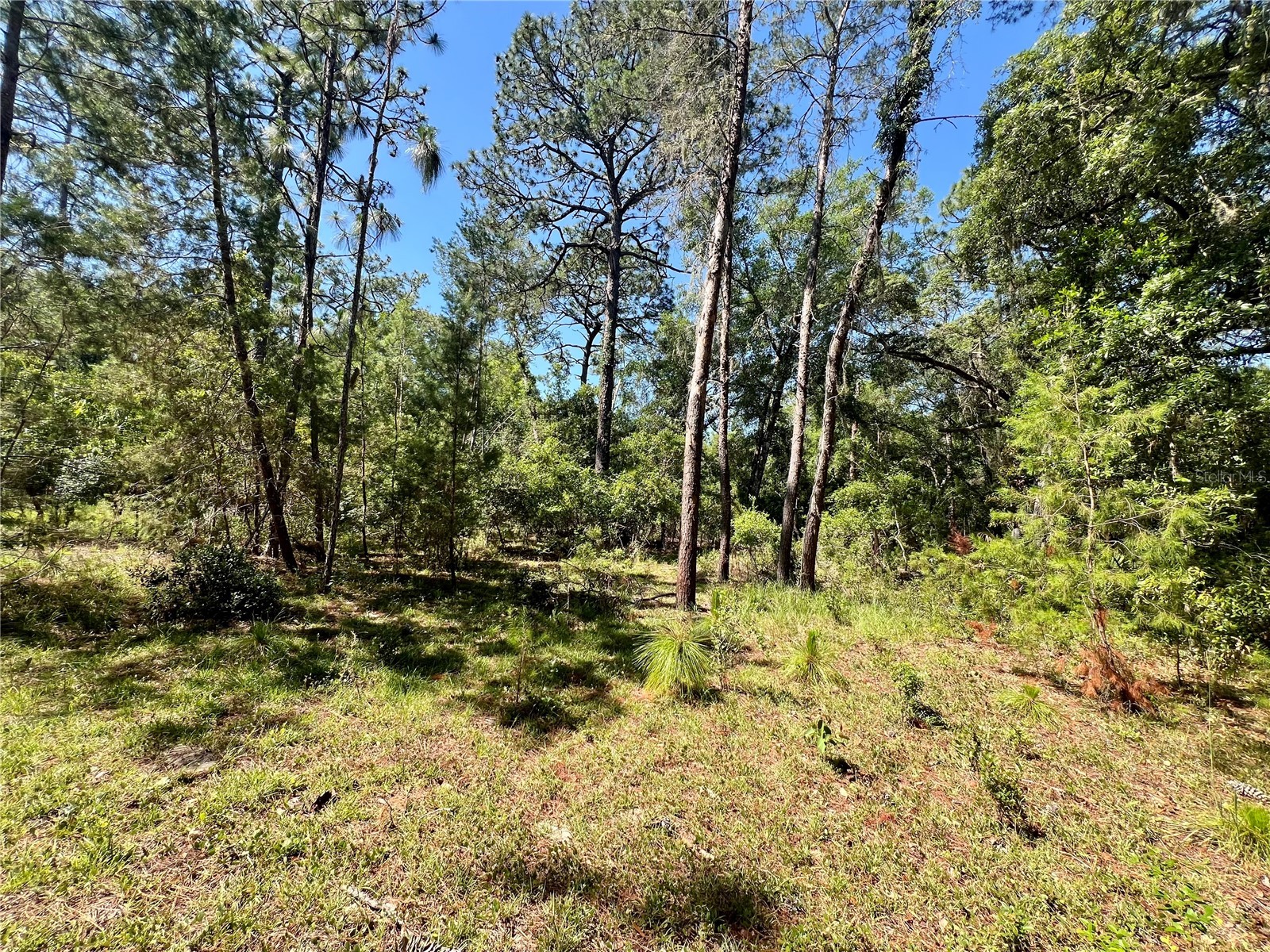 SE 152nd - (Ravenswood Rd) Parcel B & C Lots 16 17 Place Altoona FL 32702 G5112994 image7