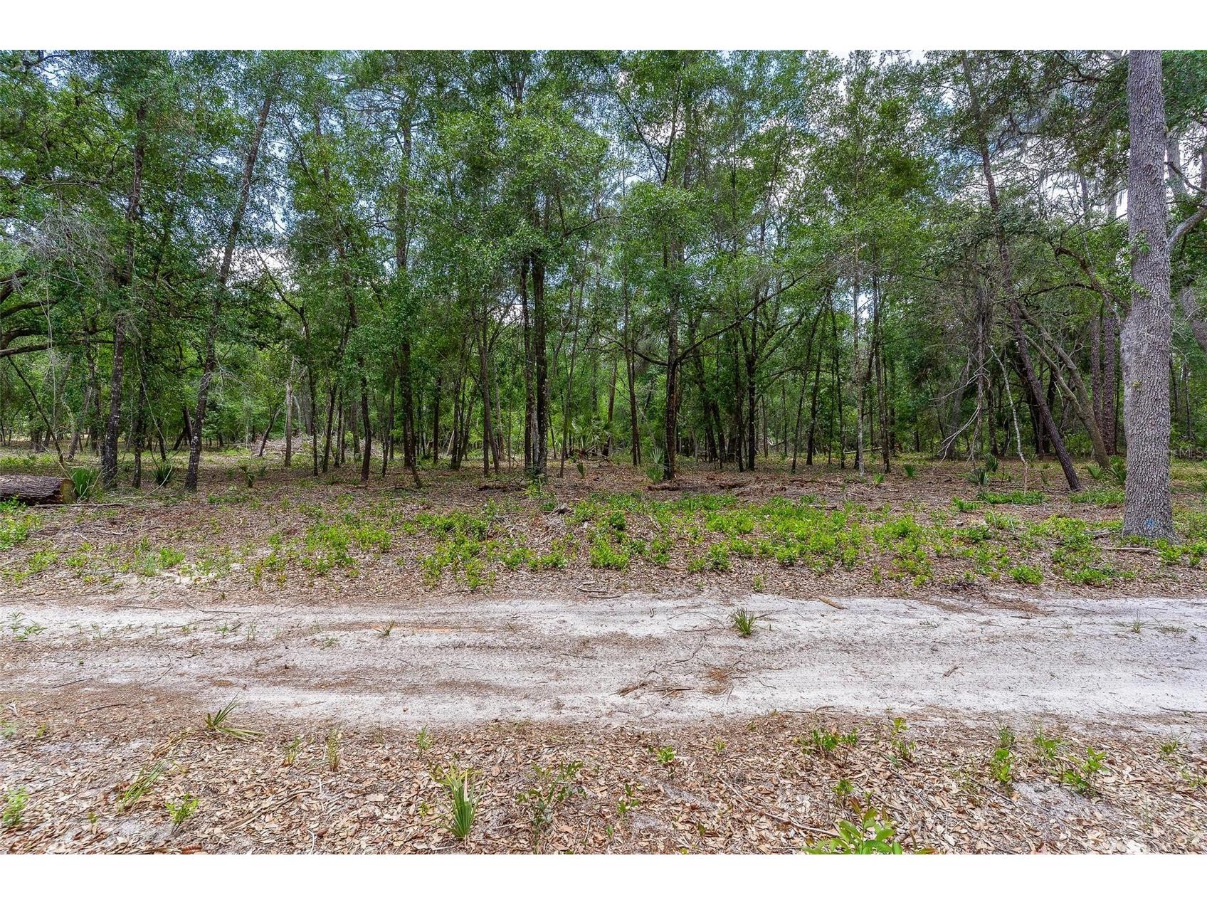 SE 152nd - (Ravenswood Rd) Parcel B & C Lots 16 17 Place Altoona FL 32702 G5112994 image9