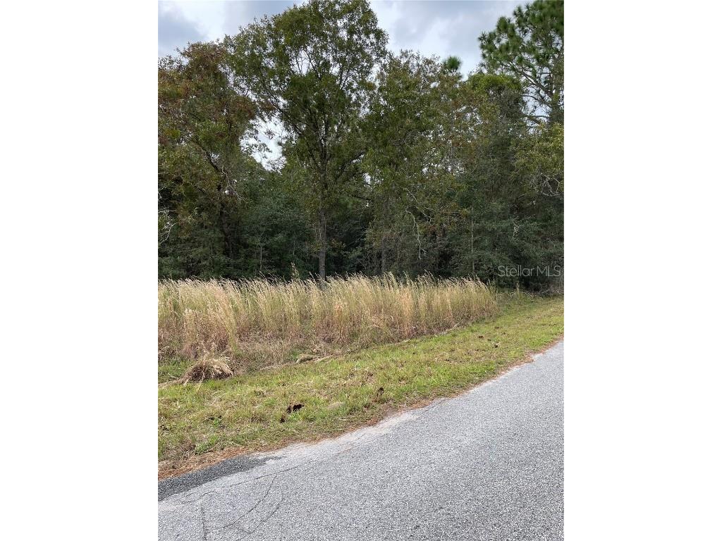 Se 155 Place Summerfield FL 34491 OM629893 image1