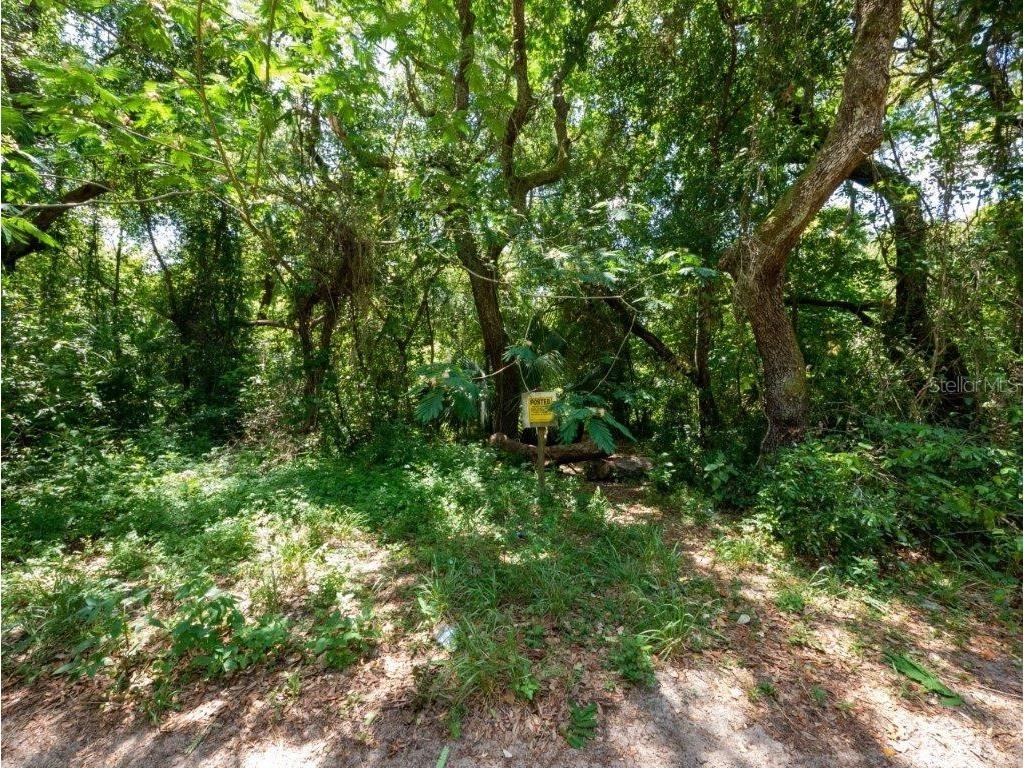 SE 155th Street Umatilla FL 32784 T3418830 image1