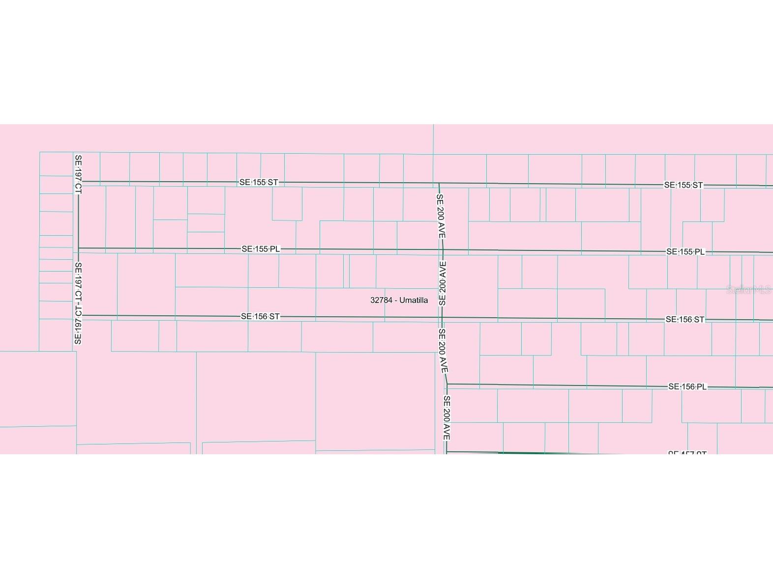 SE 155th Street Umatilla FL 32784 OM727985 image3