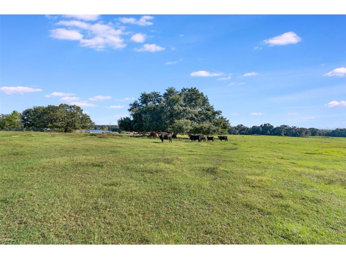 SE 156th Place Road Weirsdale FL 32195 G5103782 image10