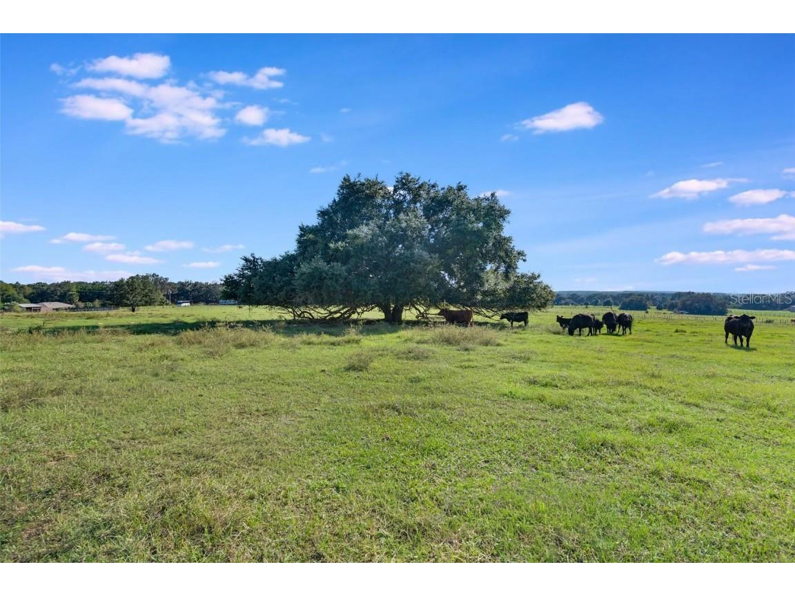 SE 156th Place Road Weirsdale FL 32195 G5103782 image13