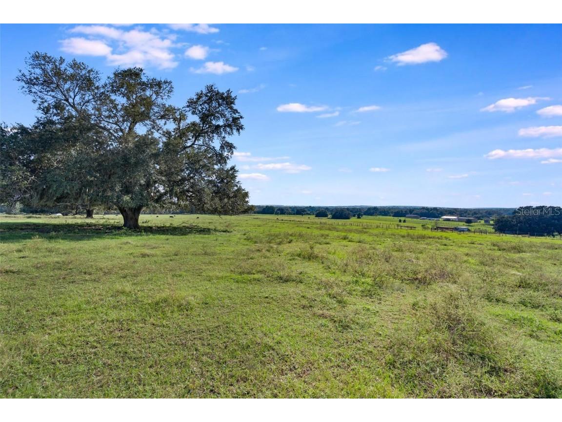 TBD SE 156th Place Road Weirsdale FL 32195 G5103785 image10