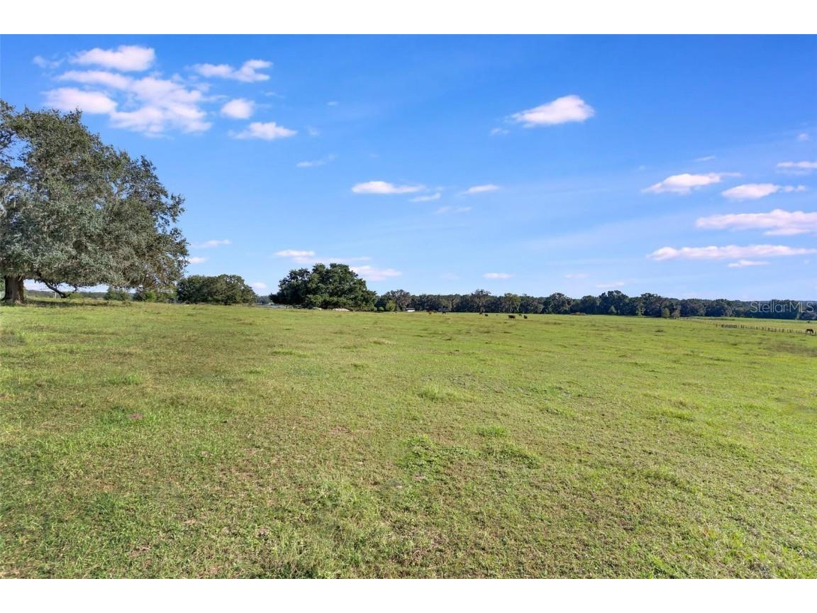 TBD SE 156th Place Road Weirsdale FL 32195 G5103785 image11