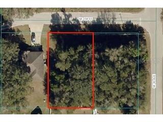 SE 156th Street Summerfield FL 34491 OM691166 image1