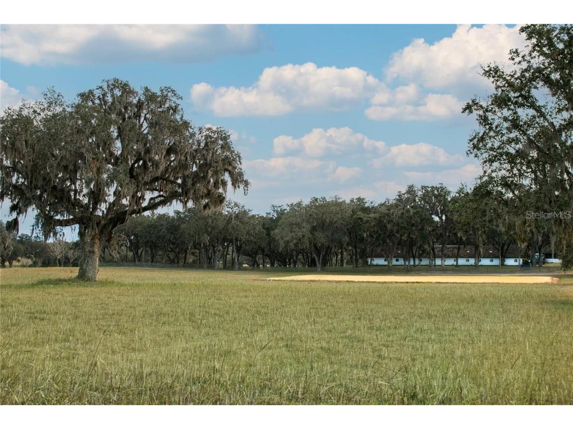 SE 157th Sreet Road #44 Summerfield FL 34491 OM704572 image1