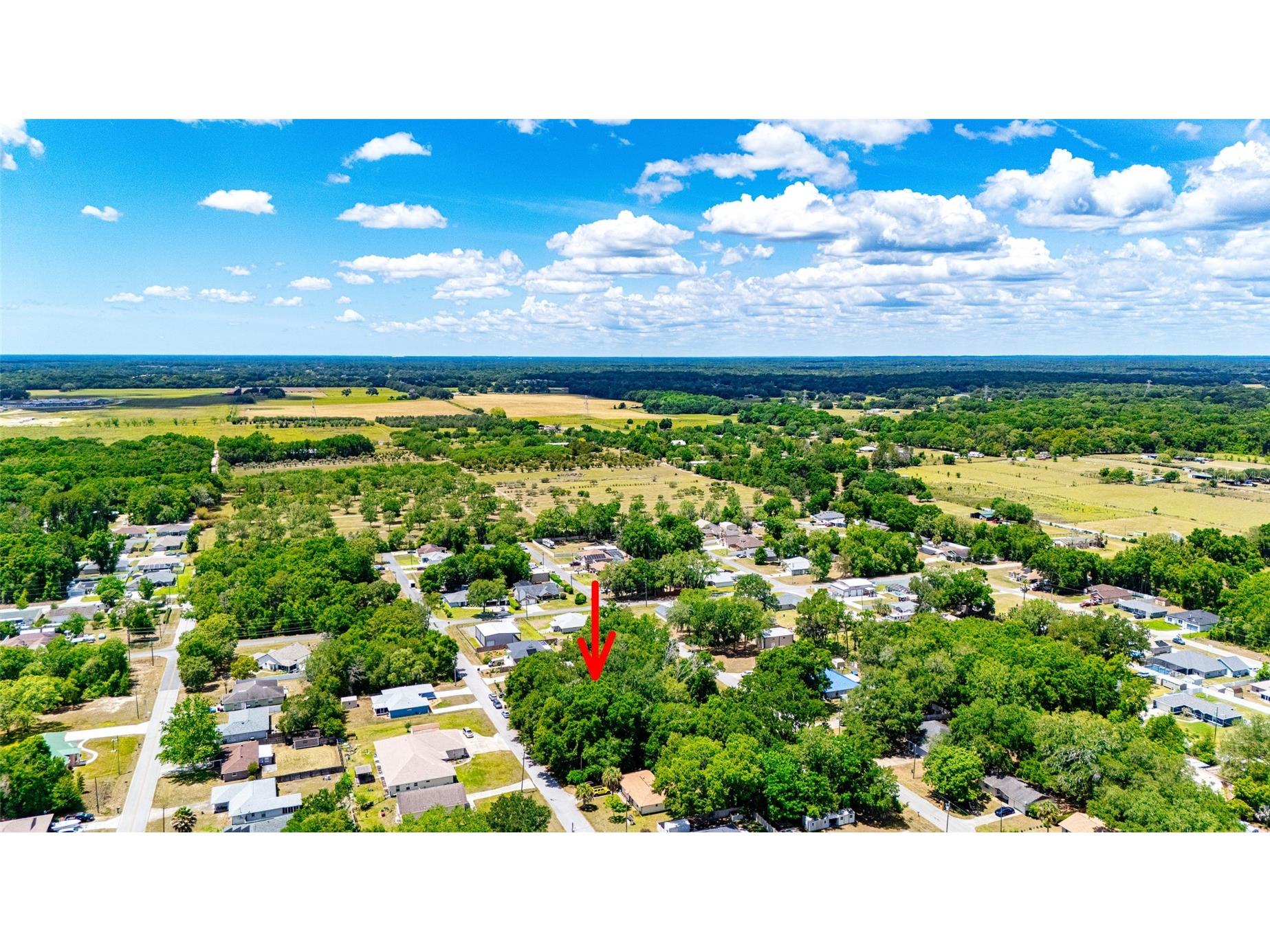 Se 157th St Summerfield FL 34491 O6410712 image4