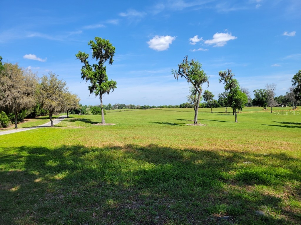 SE 157th Street Road #44 Summerfield FL 34491 OM655323 image1