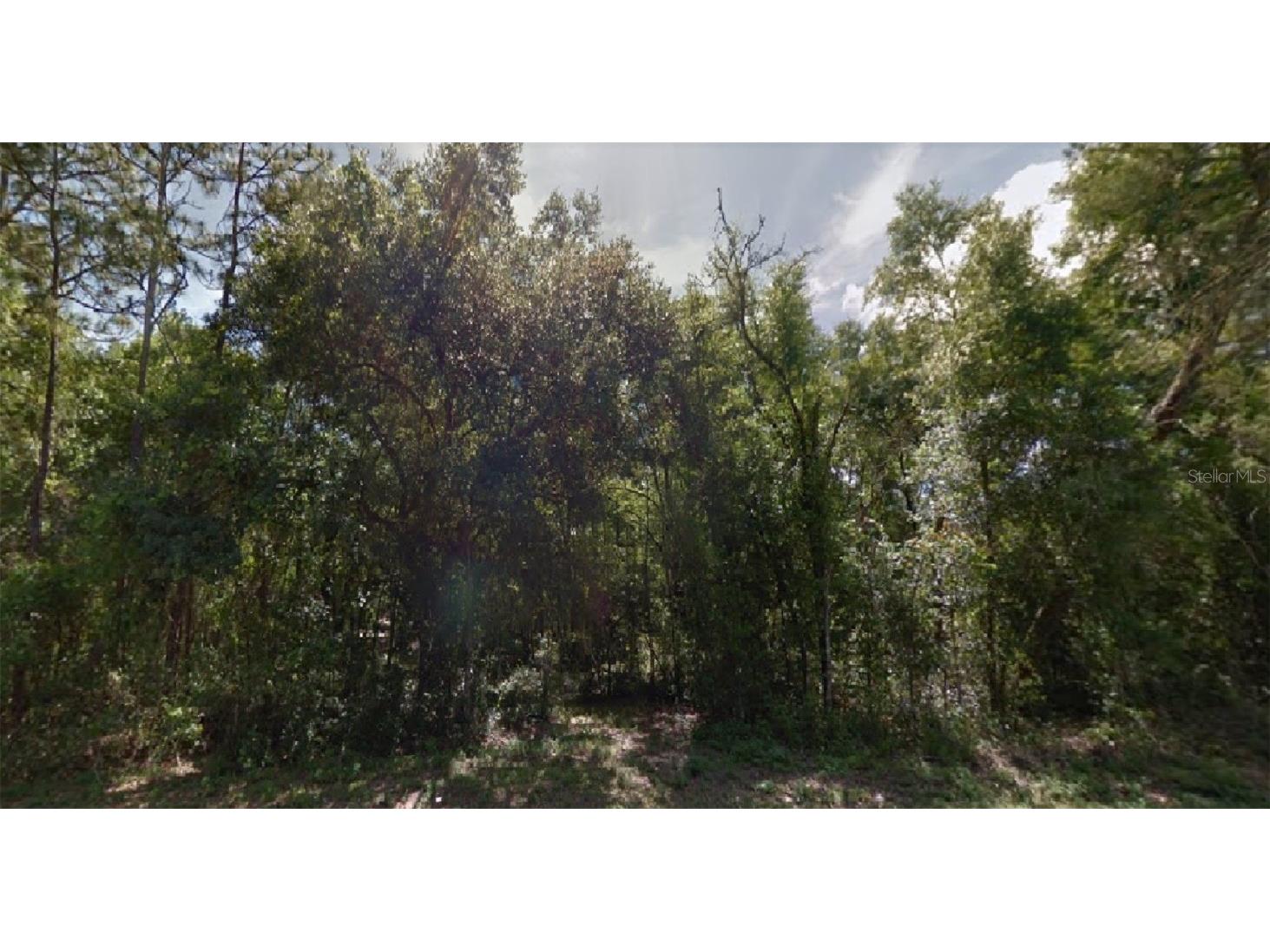 SE 159th Avenue Silver Springs FL 34488 O6085600 image1