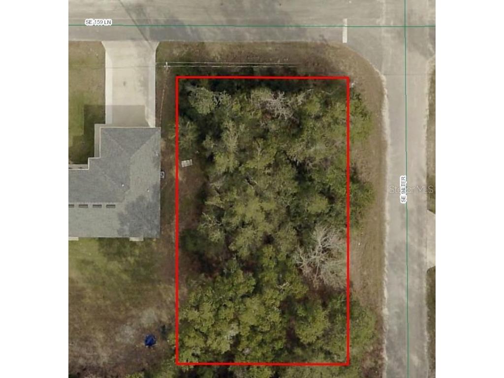 SE 159th Lane Summerfield FL 34491 OM681662 image1