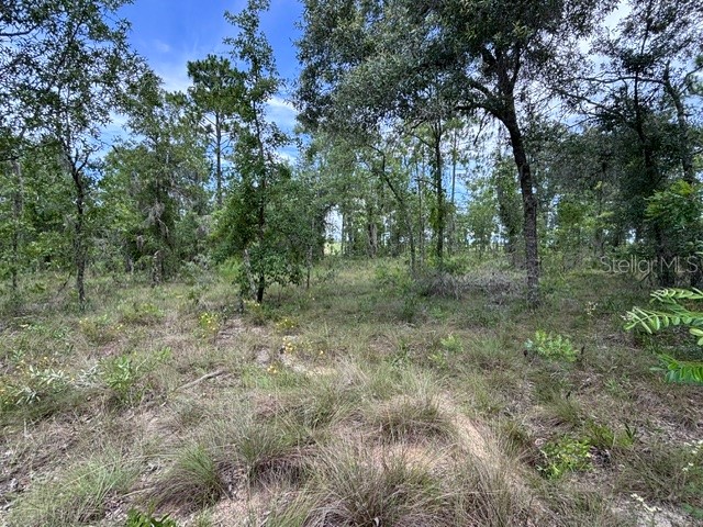SE 16 Lane Morriston FL 32668 GC541519 image1