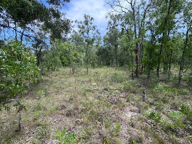 SE 16 Lane Morriston FL 32668 GC541519 image2