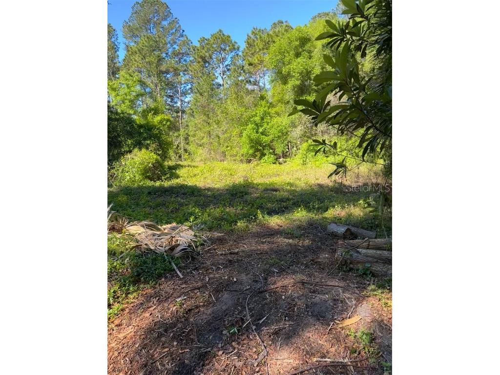 Se 162 Terr. Ocklawaha FL 32179 OM667410 image1