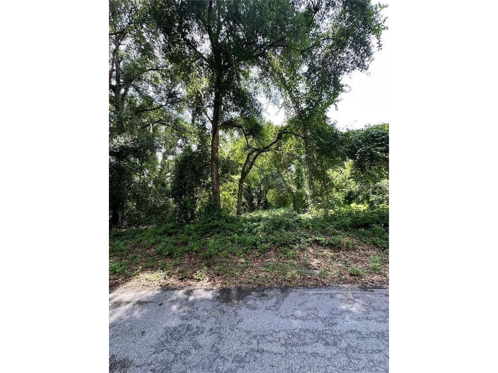 SE 162nd Terrace #20 Ocklawaha FL 32179 G5082300 image1