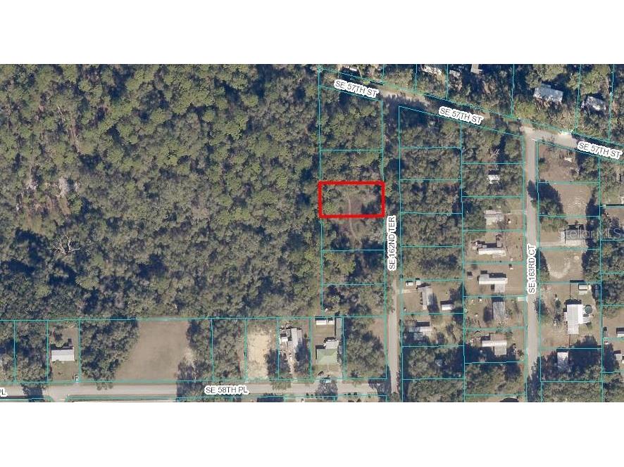 SE 162nd Terrace Ocklawaha FL 32179 O6040149 image1
