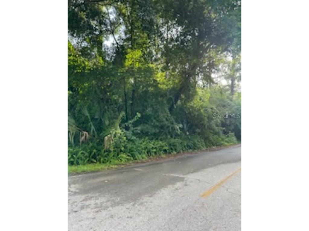 SE 163 Court Ocklawaha FL 32179 A4619309 image1