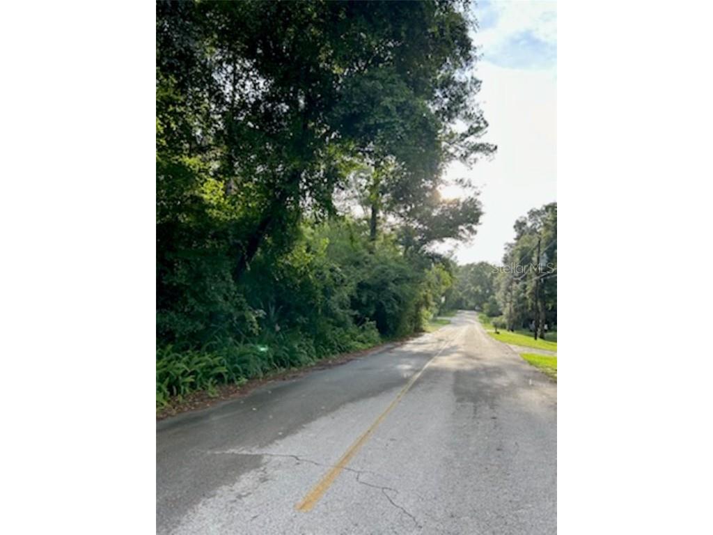 SE 163 Court Ocklawaha FL 32179 A4619309 image2