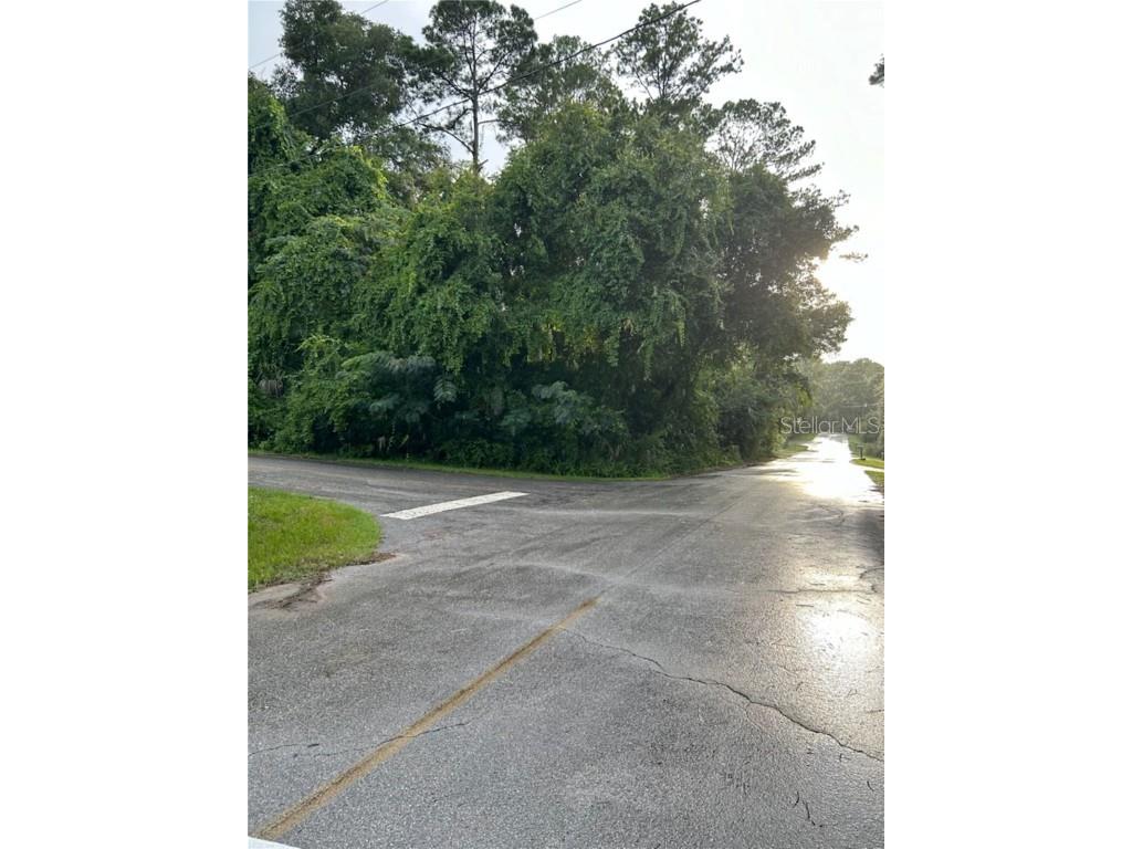 SE 163 Court Ocklawaha FL 32179 A4619309 image3