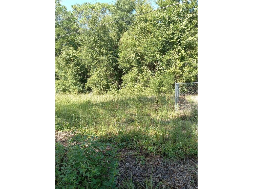 SE 164th Avenue Silver Springs FL 34488 OM685124 image1