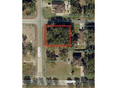 SE 164th Pl Summerfield FL 34491 OM691471 image1