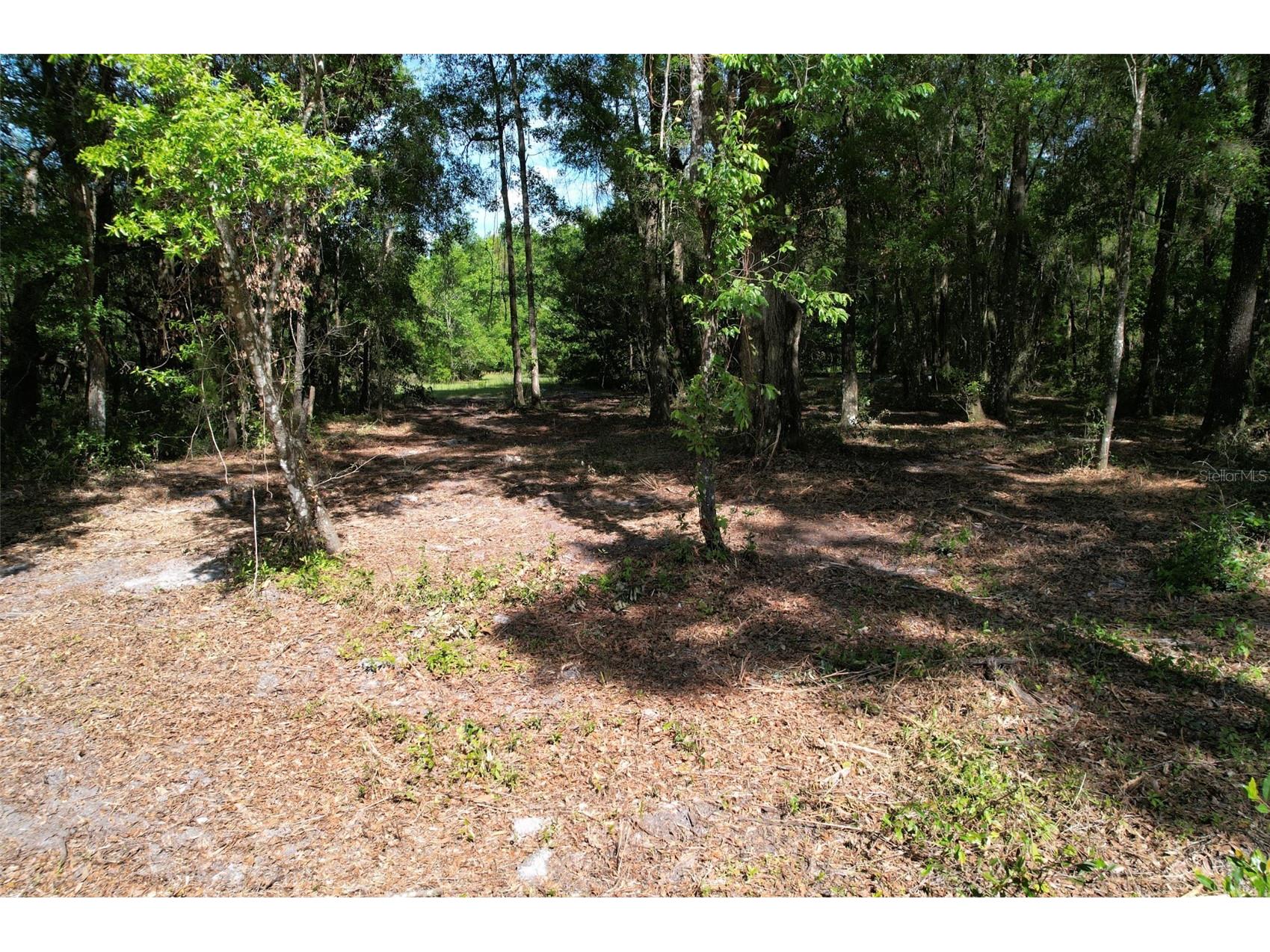 SE 164th Terrace Williston FL 32696 O6408003 image1
