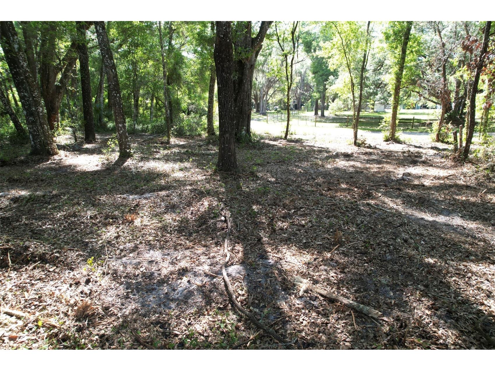 SE 164th Terrace Williston FL 32696 O6408003 image10
