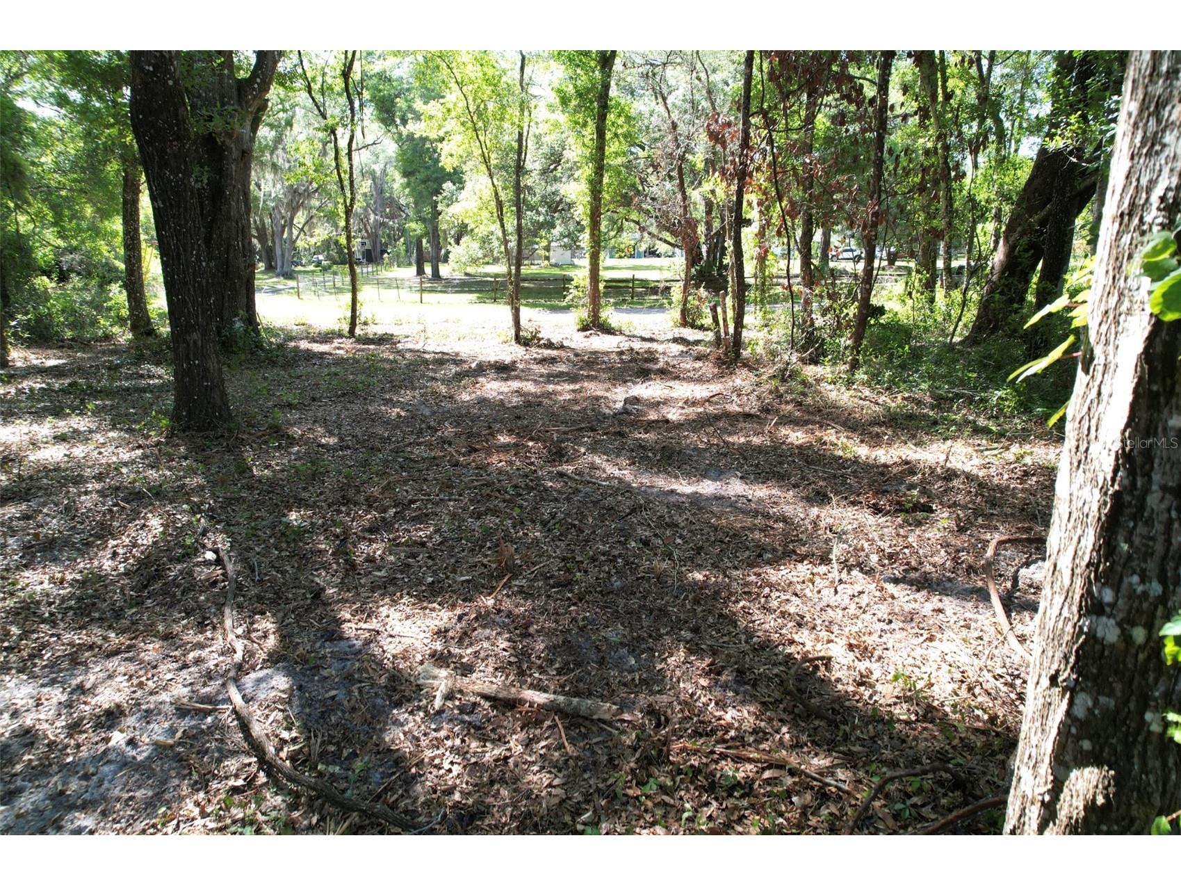 SE 164th Terrace Williston FL 32696 O6408003 image11